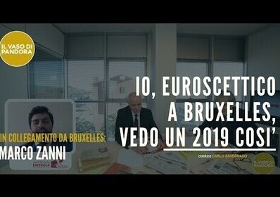 Io, euro scettico a Bruxelles, vedo un 2019 così