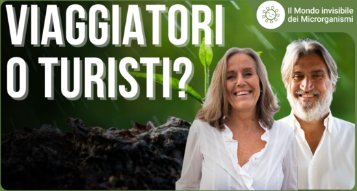Nella microbiologia la differenza tra viaggiatore e turista - Patrizia Krisa Alessandro Griso